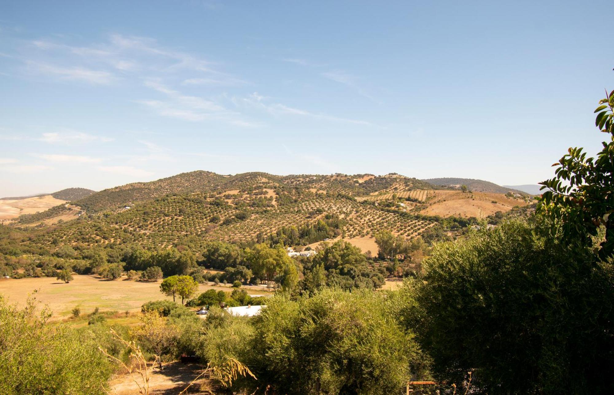 Casa Rural El Carmen Prado Del Rey Eksteriør bilde