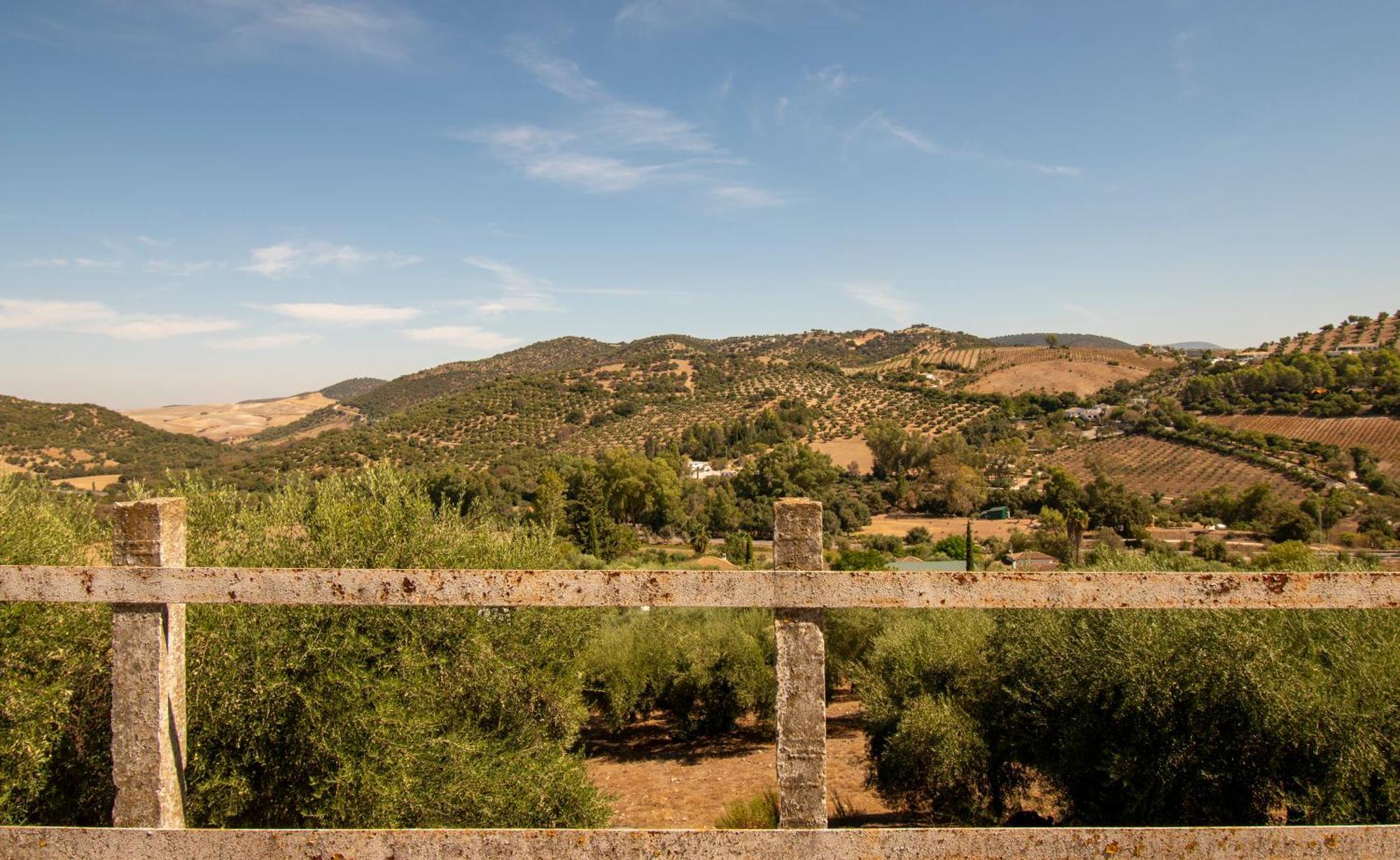 Casa Rural El Carmen Prado Del Rey Eksteriør bilde