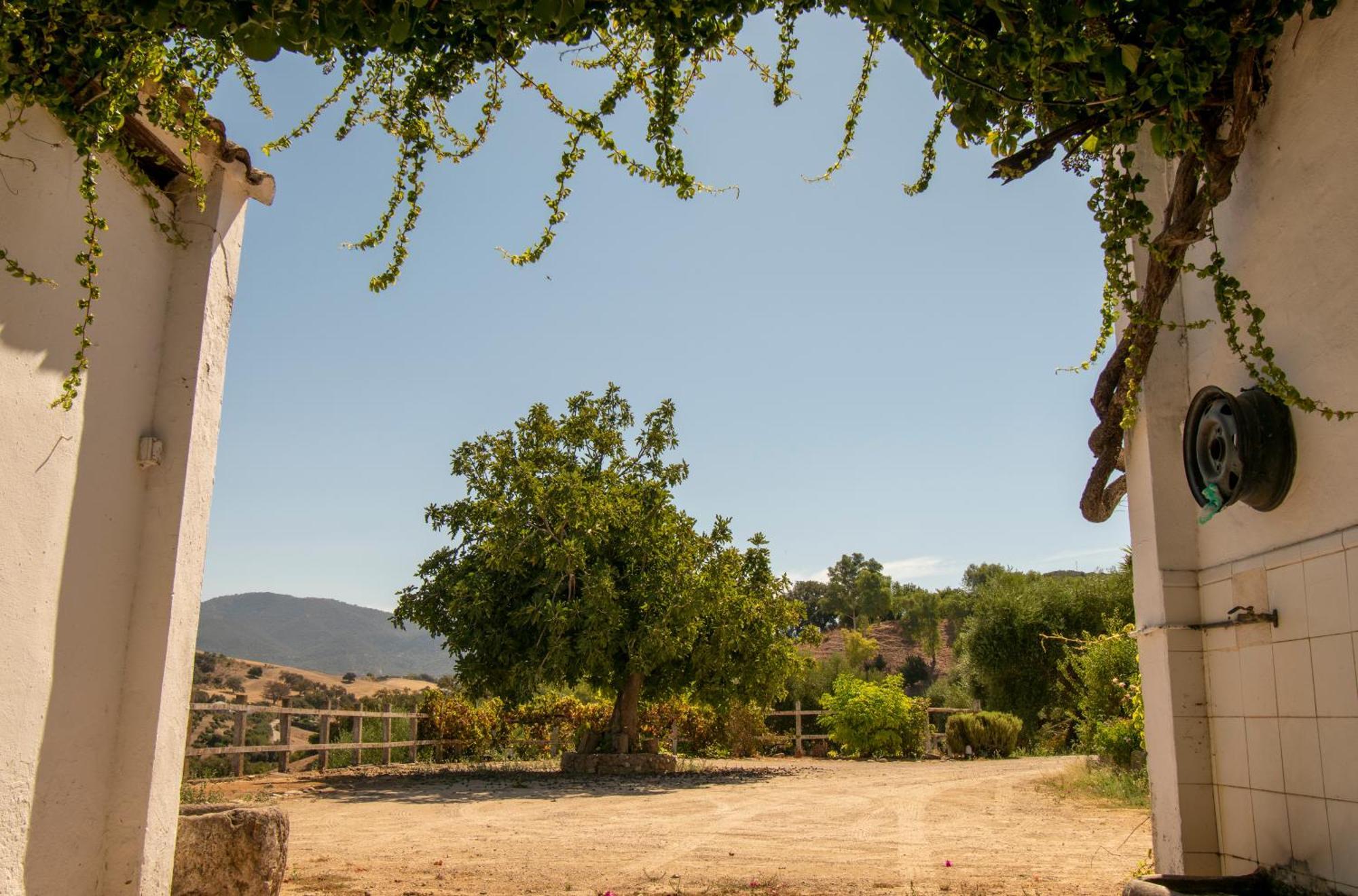 Casa Rural El Carmen Prado Del Rey Eksteriør bilde